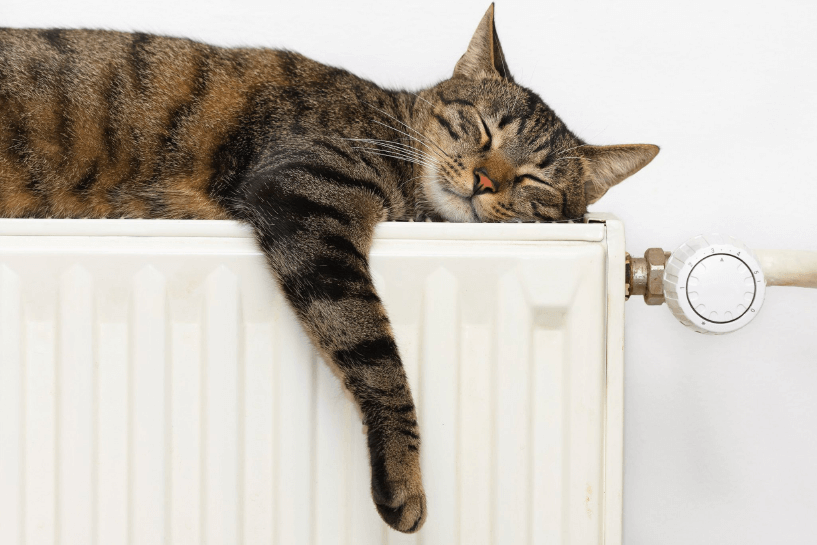 Energy Useful Tips